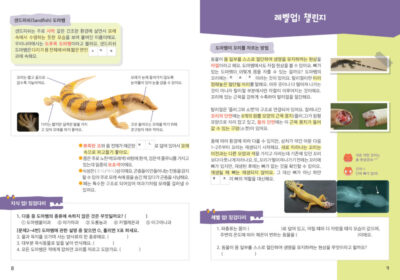 디노킨즈_교재시안_샌드피쉬도마뱀5 디노킨즈_교재시안_샌드피쉬도마뱀5