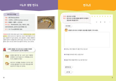 디노킨즈_교재시안_샌드피쉬도마뱀6 디노킨즈_교재시안_샌드피쉬도마뱀6